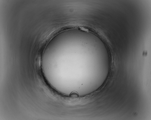 X0000115640021200911241722