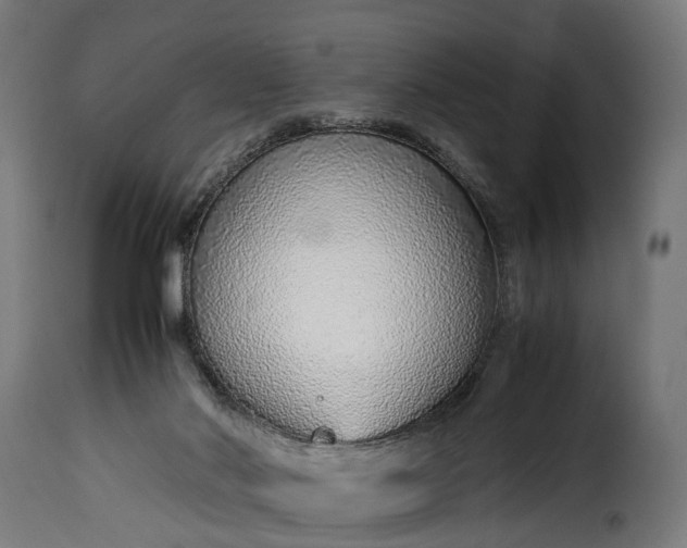 X0000115640022200911241722