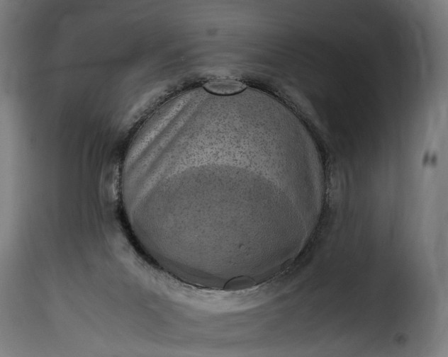 X0000115640023200911241722