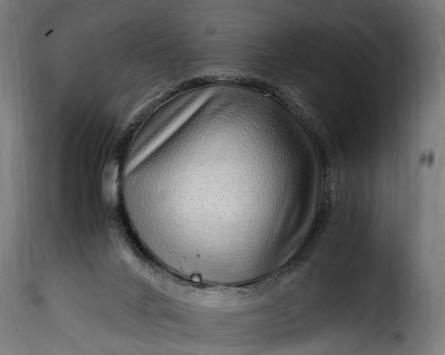 X0000115640024200911241722