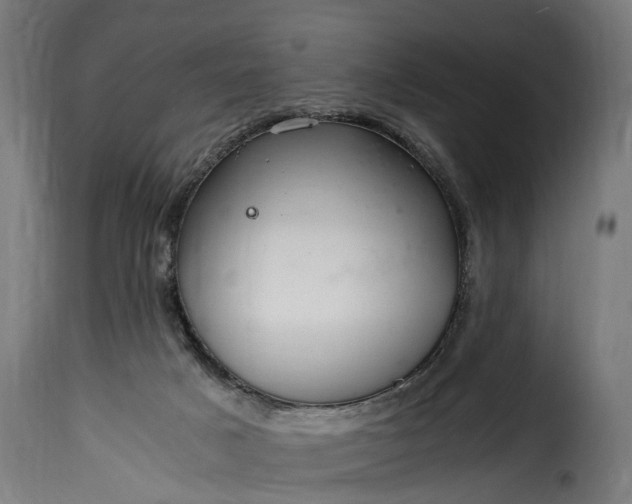 X0000115640025200911241722