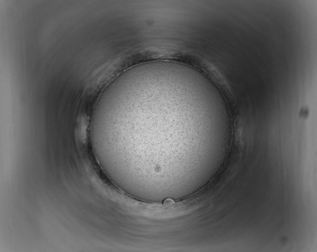 X0000115640026200911241722