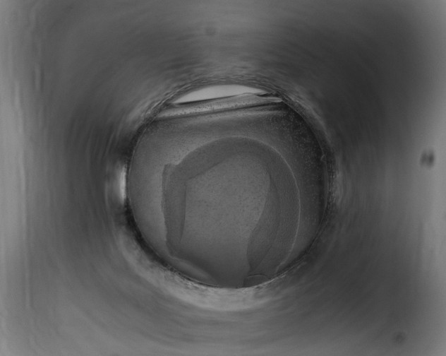 X0000115640027200911241722