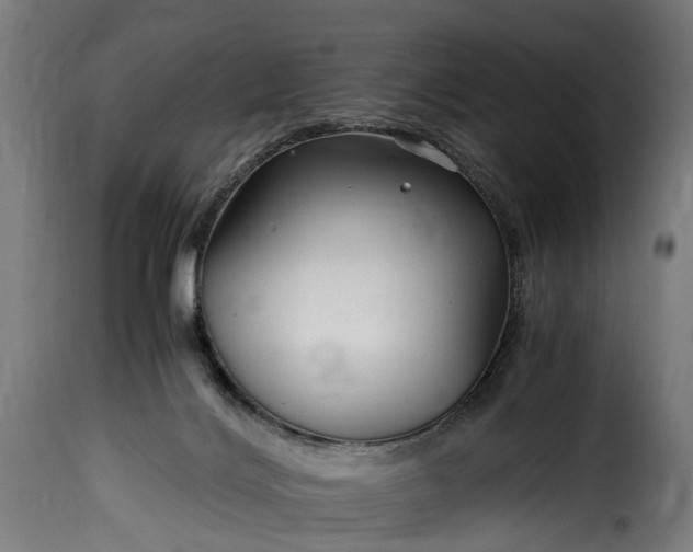 X0000115640028200911241722