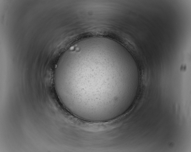 X0000115640029200911241722