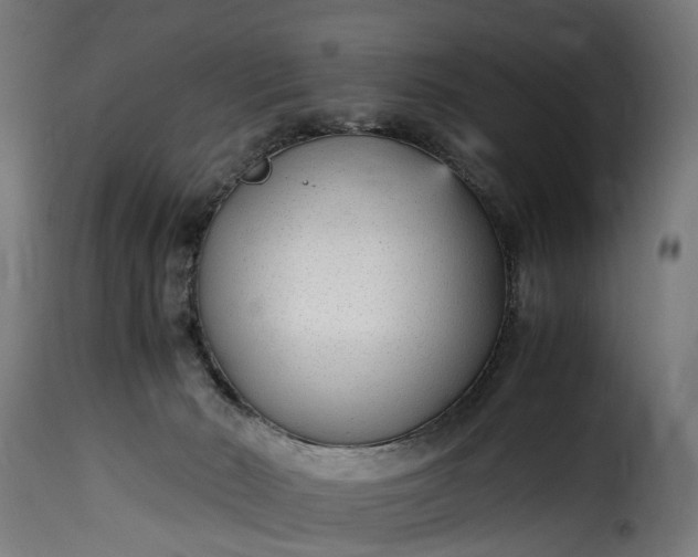 X0000115640030200911241722