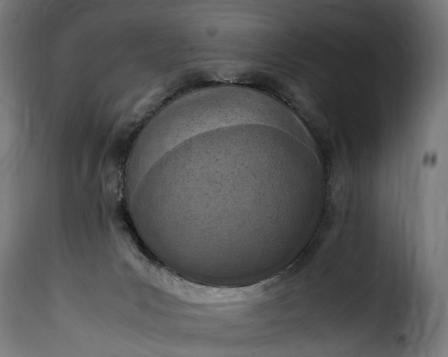 X0000115640031200911241722