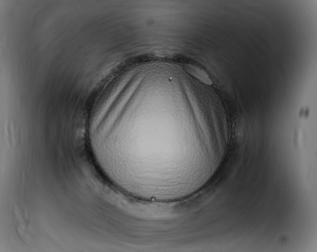 X0000115640032200911241721