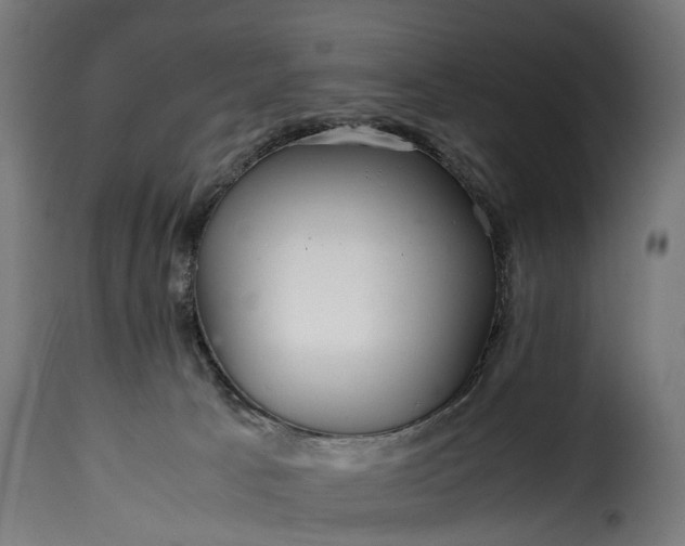 X0000115640033200911241721