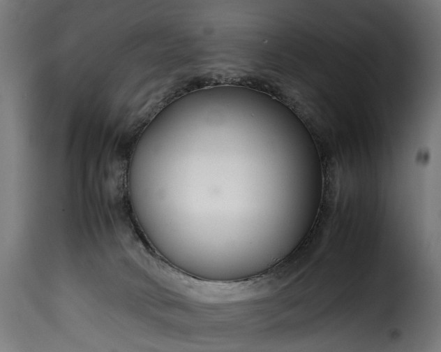 X0000115640034200911241721