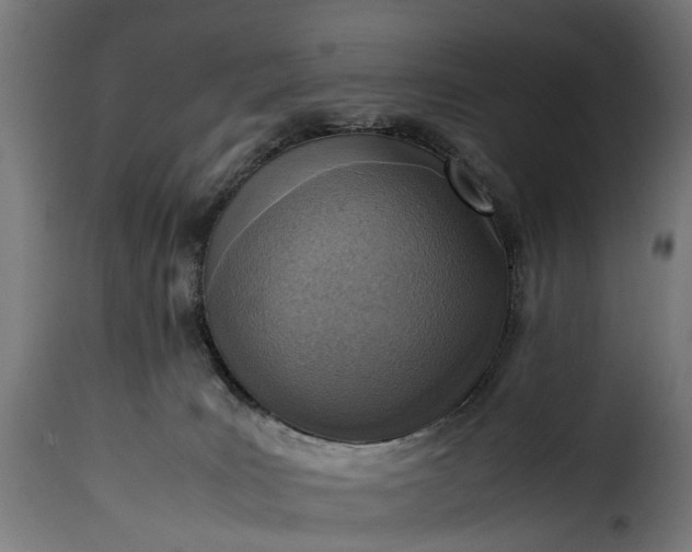 X0000115640035200911241721