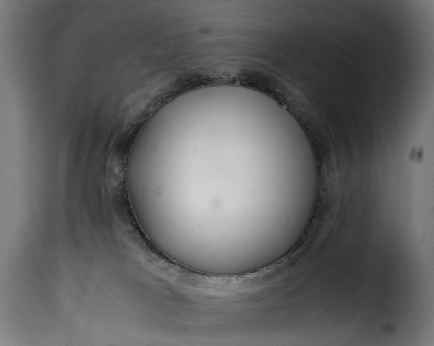 X0000115640037200911241721