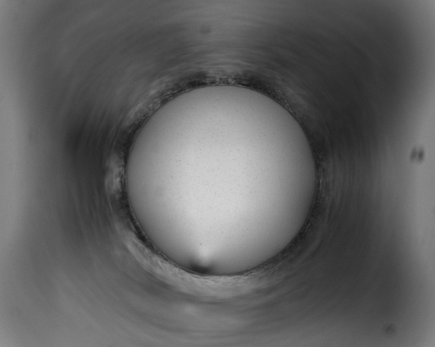 X0000115640038200911241721