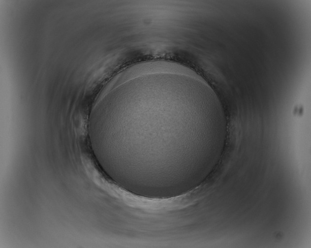 X0000115640039200911241721