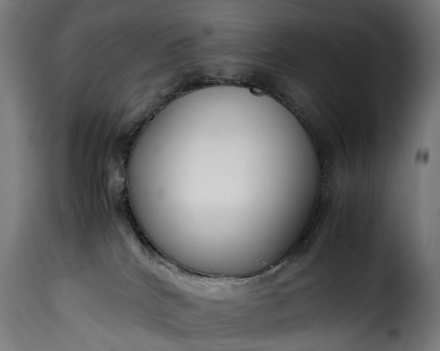 X0000115640040200911241721