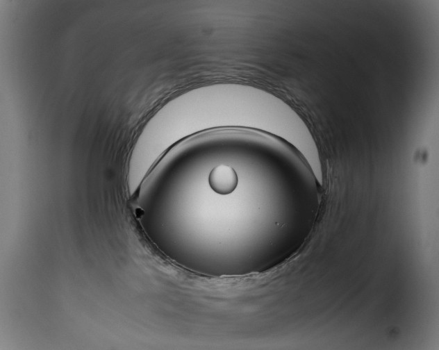 X0000115640041200911241721