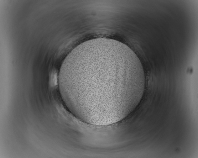 X0000115640042200911241721