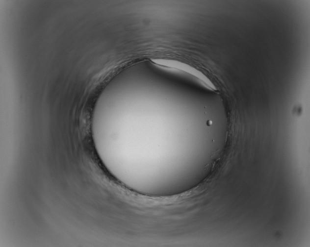 X0000115640043200911241721