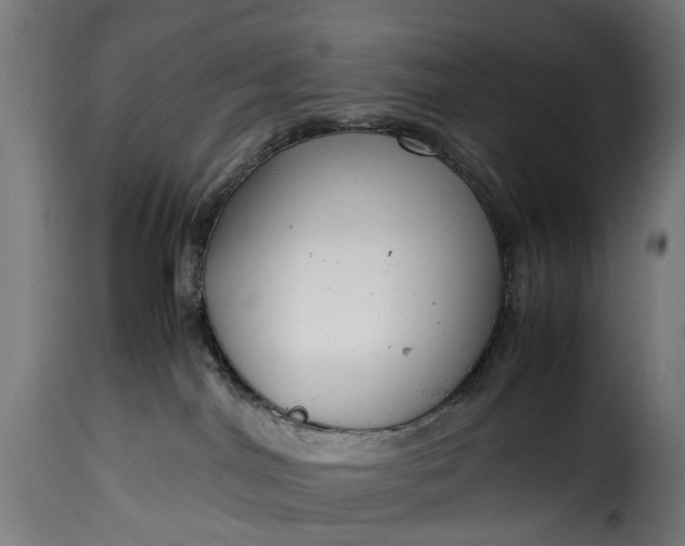 X0000115640044200911241721