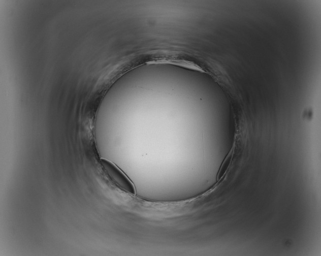 X0000115640045200911241721