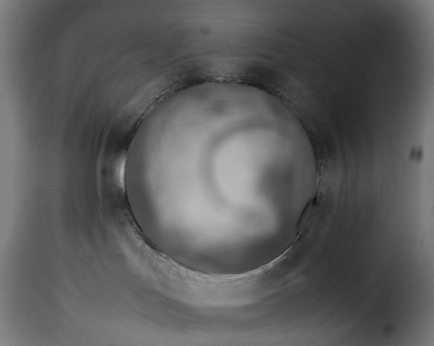 X0000115640047200911241721