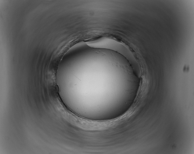 X0000115640048200911241721