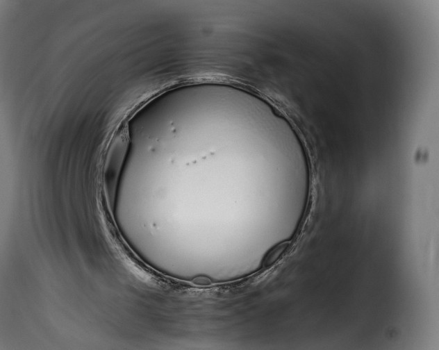 X0000115640049200911241721