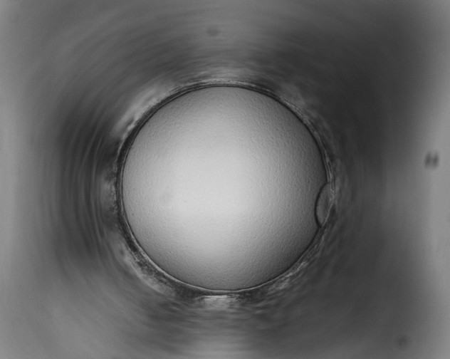 X0000115640050200911241721