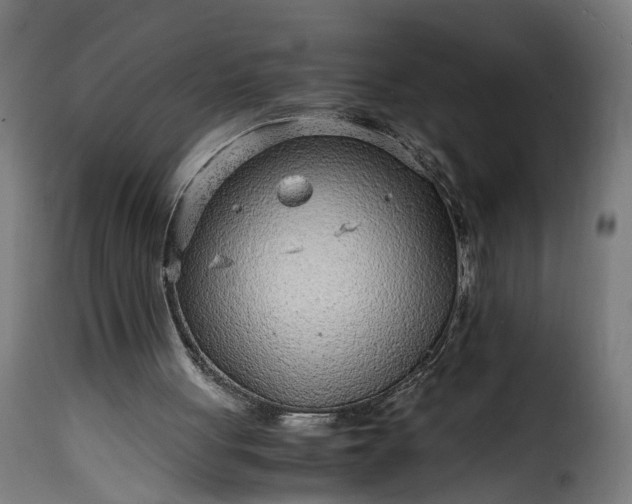 X0000115640051200911241721