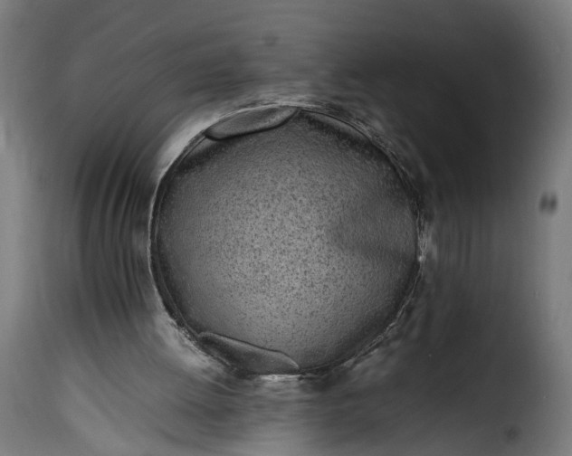 X0000115640052200911241721