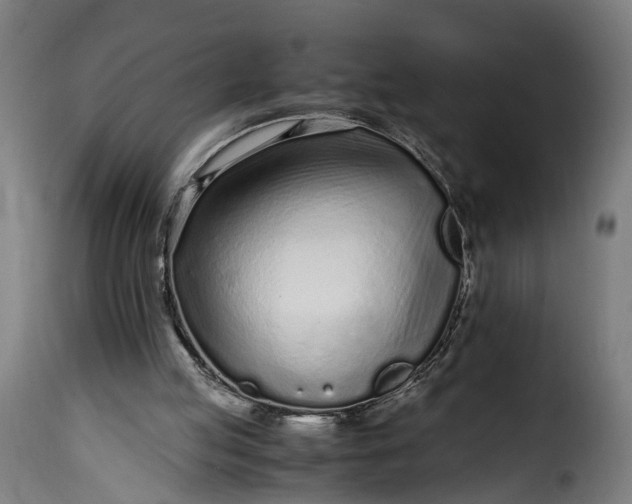 X0000115640053200911241721