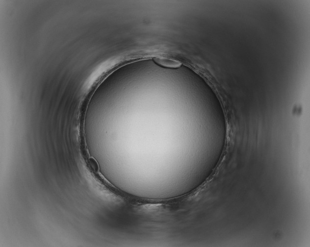 X0000115640054200911241721