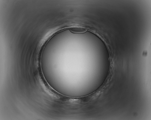 X0000115640055200911241721