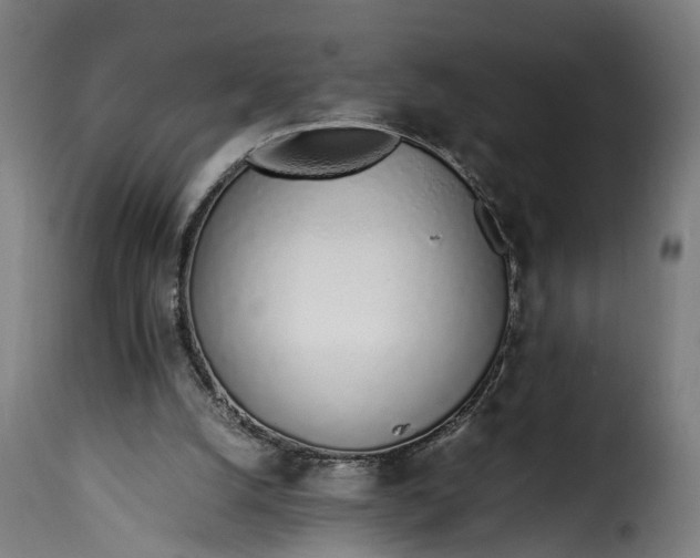 X0000115640056200911241721