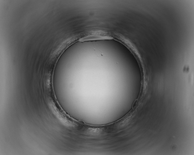 X0000115640057200911241721