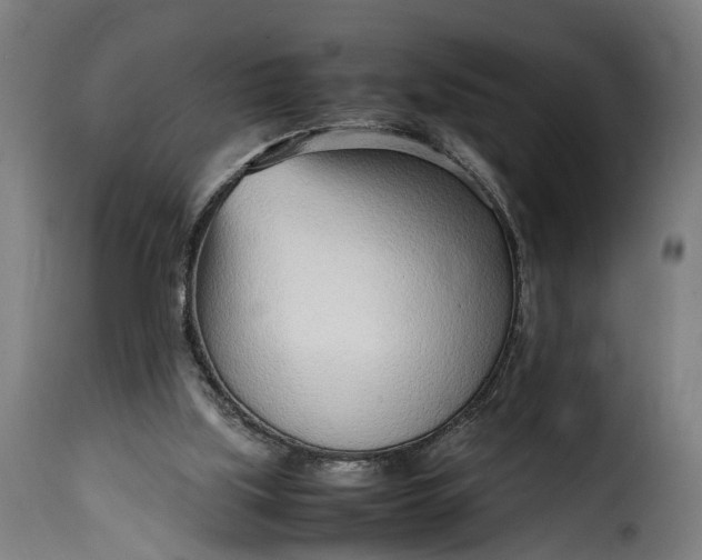 X0000115640059200911241721