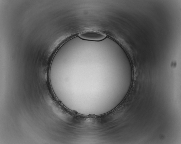 X0000115640060200911241721