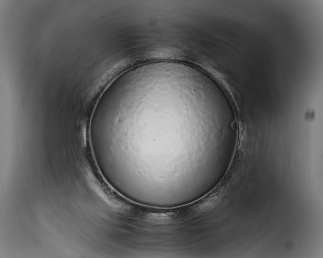 X0000115640061200911241721