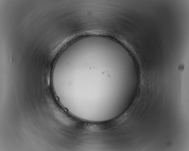 X0000115640062200911241721