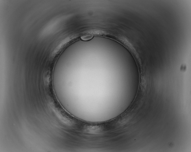 X0000115640063200911241721