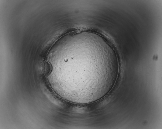 X0000115640065200911241721