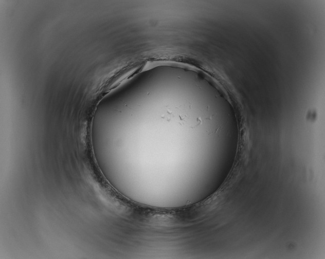 X0000115640066200911241721