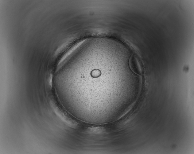 X0000115640067200911241721