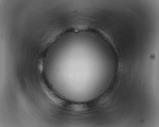 X0000115640069200911241721