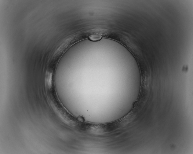 X0000115640070200911241721