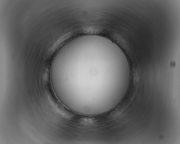 X0000115640071200911241721