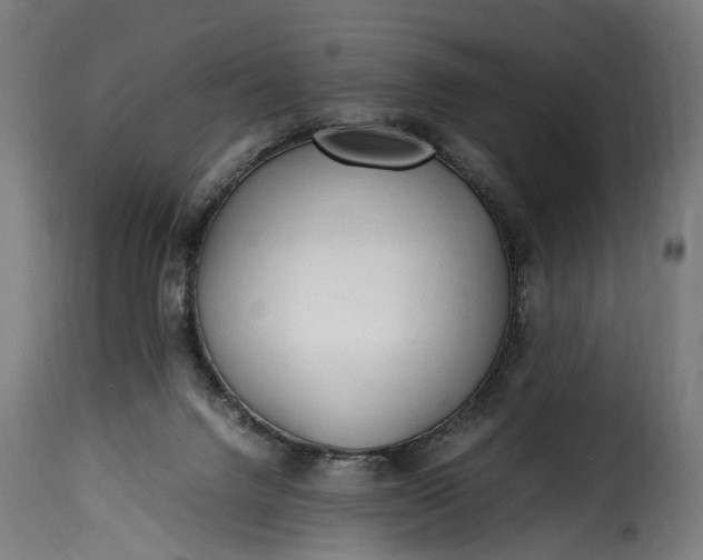 X0000115640072200911241721