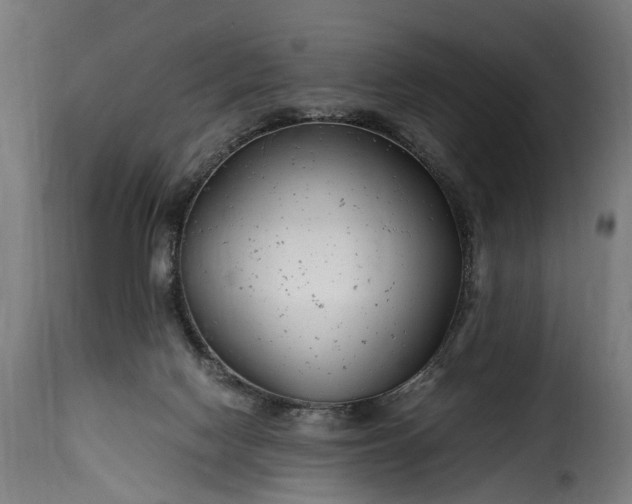 X0000115640074200911241721