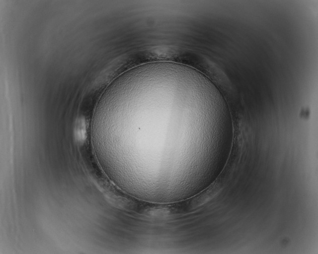 X0000115640075200911241721