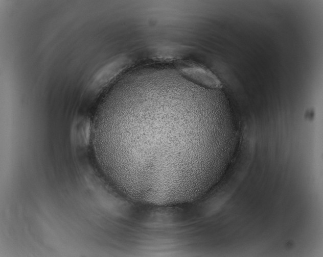 X0000115640076200911241721